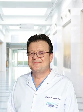 Prof. Dr. Ahmet Hilmi Kaya